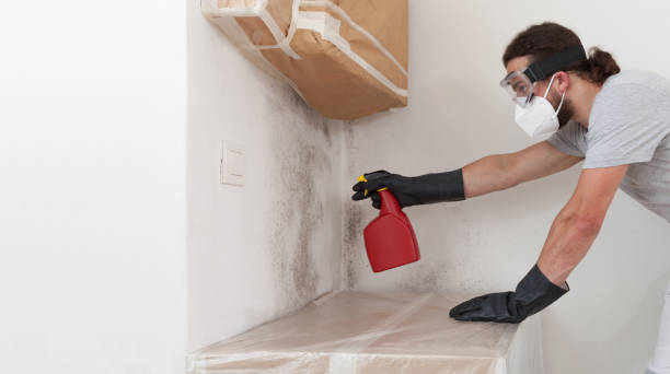 Professional Attic Mold Remediation technician working in Greenvale, NY